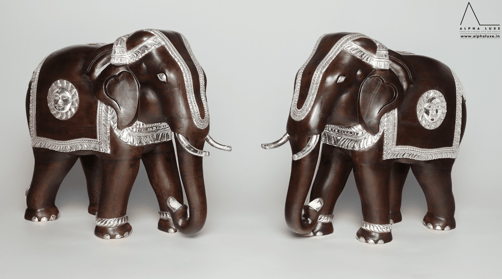 WhatsApp Image 2023-10-21 at 11.50.00 AM (21).jpeg